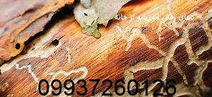 دعای رفتن موریانه از خانه