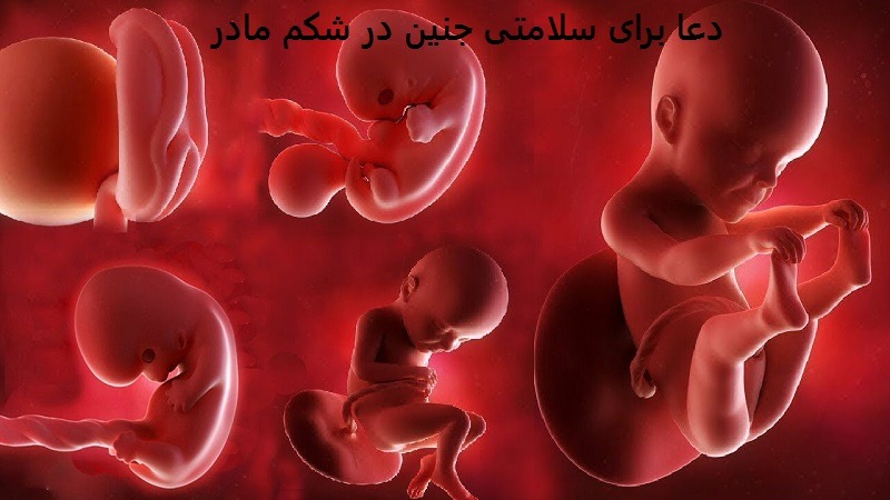 دعا برای سلامتی جنین در شکم مادر